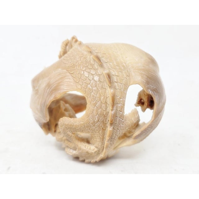 Sculpture Materials 2010's Hand Carved Tagua Nut Dragon - 2-1/2" X 3" - Figurine - Vegetable Ivory For Sale - Image 7 of 14