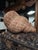 1990s Monumental Woven Rattan Shell Form Sculpture For Sale - Image 5 of 11