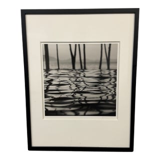 Michal Venera Twigs and Water Black & White Photograph, Framed For Sale