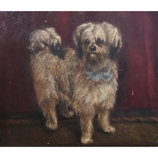 Charming antique oil painting of a Norfolk Terrier in a blue blow standing on a rug. Original and one of a kind. The...