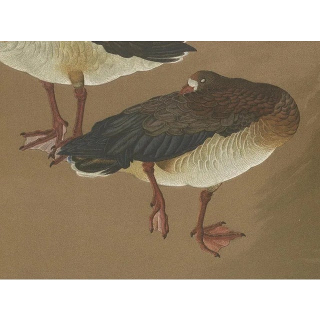 Japanese Geese, 1880s, Lithograph For Sale - Image 5 of 10