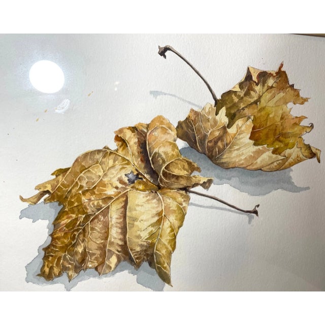 Brown Original Signed R. Skibinski Realistic Fall Leaves Watercolor Painting Realism For Sale - Image 8 of 9