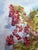 *** ABOUT THIS PAINTING *** * TITLE: "Rowan" * ARTISTS: Viktor Mikhailichenko * SIZE: 30.5х21.5 cm/'12.00х8.46 inches' *...
