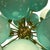 Tiffany Blue Sputnik Globes Lamp, 1960s For Sale - Image 4 of 6