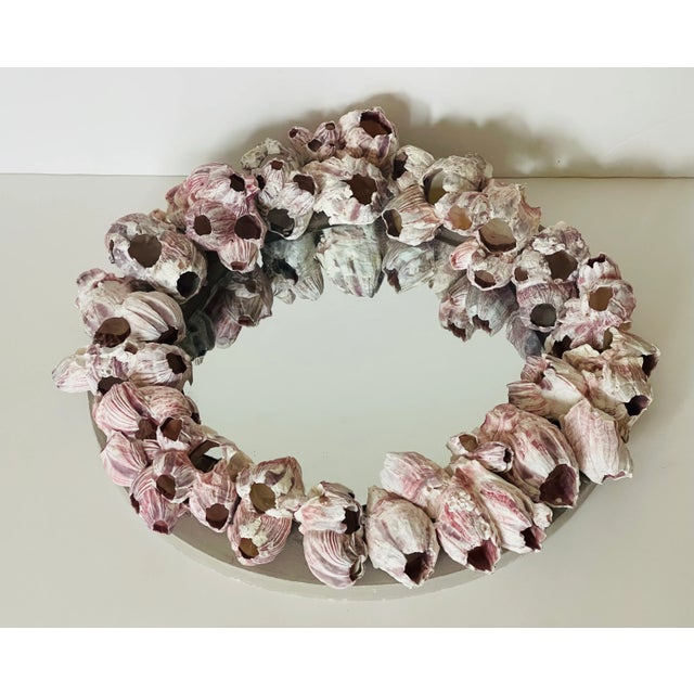 1970s Coastal Sculptural Barnacles Shell Round Mirror For Sale - Image 4 of 7