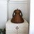 1930s 1930s Folk Art Rattan Dog Basket Lid or Hanging Pendant Lampshade For Sale - Image 5 of 15