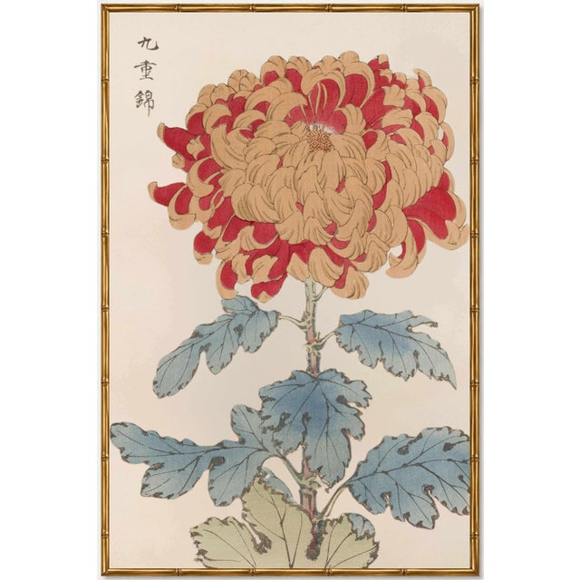 Red Chrysanthemum Giclée, Vintage Japanese Botanical Art Print, 8" X 12" For Sale In Buffalo - Image 6 of 9