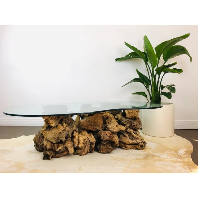 Vintage 1970s Burlwood / Driftwood Coffee Table made of natural wood with sculptural design freeform glass top measures...