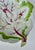 White Chelsea Porcelain Trompe-L’Oeil Leaf Dish, Radish Plate Circa 1755 For Sale - Image 8 of 16