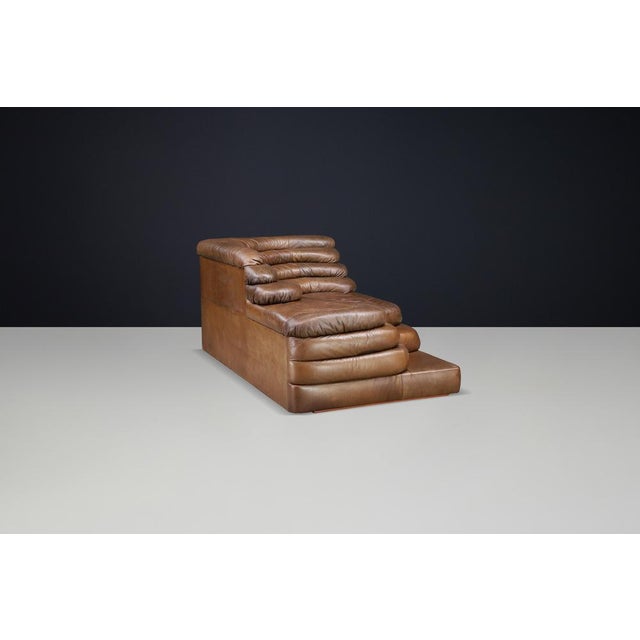 DS-1025 Terrazza Sofa in Patinated Leather by Ubald Klug for de Sede, 1970s For Sale - Image 10 of 17