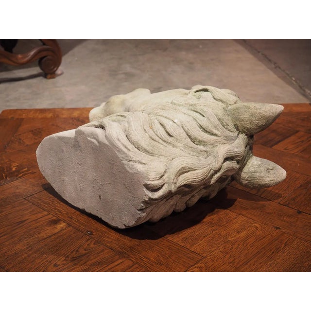 Carved Limestone Horsehead From Italy For Sale - Image 4 of 13