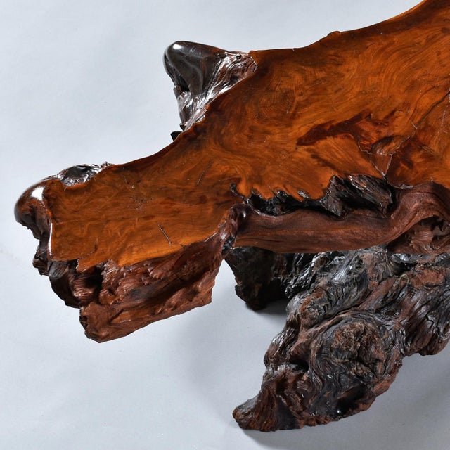 Brown Nakashima Style Live Edge Redwood Burl Root Stump Slab Coffee Table For Sale - Image 8 of 18