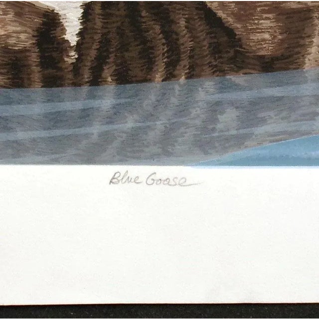 1980s 1980s Dallas John "Blue Goose" Hand Signed Limited Edition Artwork Serigraph For Sale - Image 5 of 5