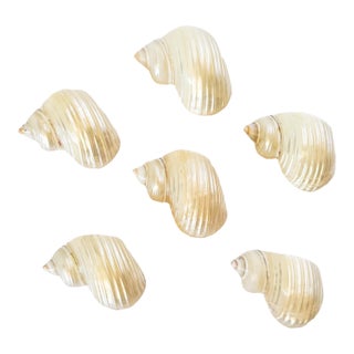 Vintage Pearl Shell Napkin Rings, Set of 6 For Sale