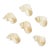 Vintage Pearl Shell Napkin Rings, Set of 6 For Sale
