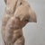 Classical Plaster Torso, 1960s, Plaster For Sale - Image 10 of 11