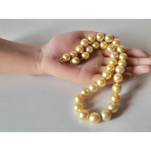 South Sea Golden Pearls Necklace With 14k Gold Clasp For Sale - Image 11 of 11