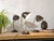 Vintage Cole Bakelite Lamp by Eric Kirkman, 1950s, Set of 3 For Sale - Image 13 of 15