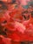 Late 20th C. Large Original Impressionist Interior Still-Life Oil Painting Signed Robbins For Sale - Image 4 of 12