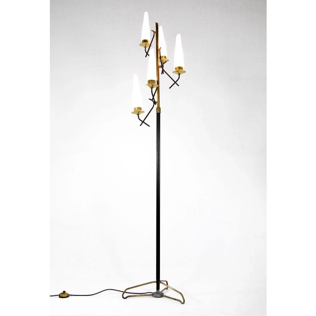 Black Italian Floor Lamp, 1950s For Sale - Image 8 of 8