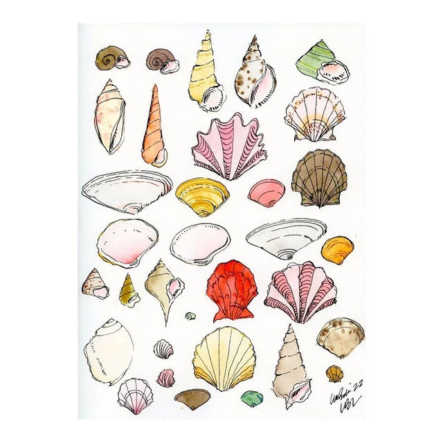 "Colorful Shell Collection" Lia Burke Libaire Contemporary Giclee Print For Sale