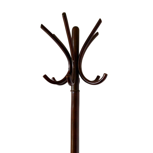Antique Coat Stand from Thonet, 1900s For Sale - Image 3 of 7