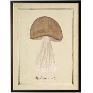 Brown Mushroom in Black & Copper Shadowbox 13 X 17 For Sale