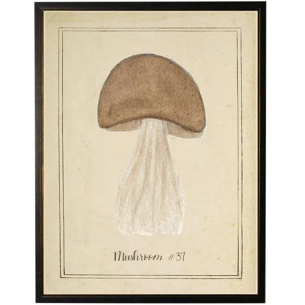 Brown Mushroom in Black & Copper Shadowbox 13 X 17 For Sale