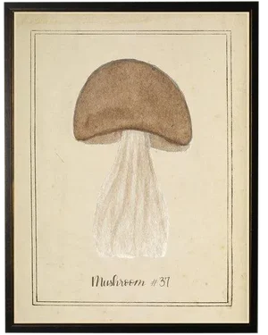 Brown Mushroom in Black & Copper Shadowbox 13 X 17