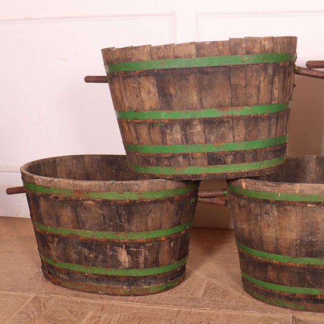 5 French Chestnut grape picking tubs. 1920 Width of bucket excluding handle- 70cm. Dimensions:W: 92cm (36.2") H: 45cm...