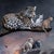 Protectors of the Wild Hearts presents a striking tableau of various animals, including a majestic tiger, an imposing...