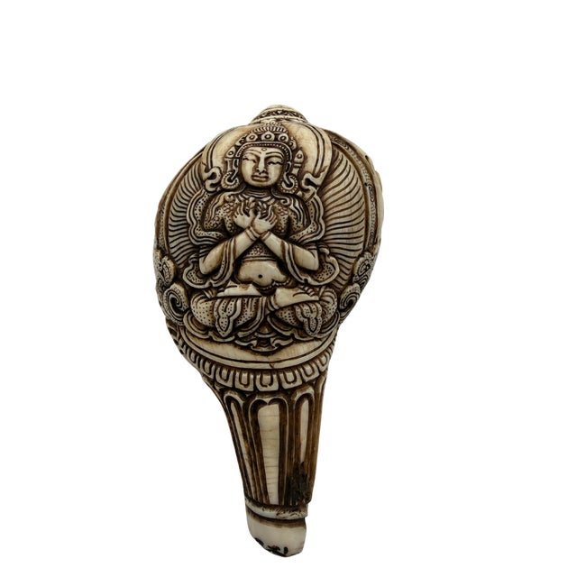 Asian Hand-Carved Shakyamuni Buddha Conch Shell For Sale - Image 3 of 6