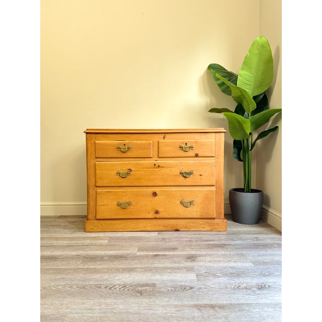 Antique Pine Dovetail Chest of Drawers, 1890s For Sale - Image 13 of 13