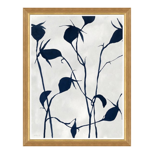 Ink on Paper - Rose Hips by Susan Hable For Sale
