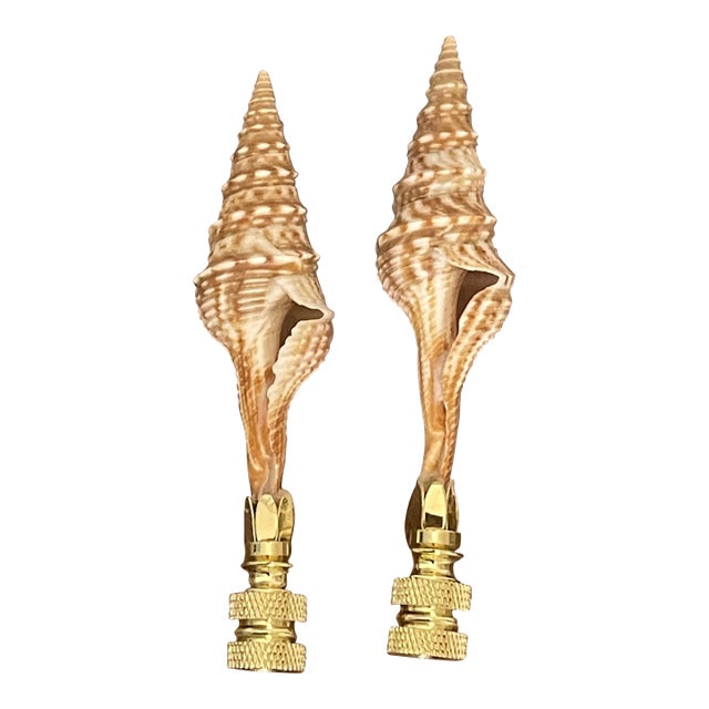 1970s Coastal Sea Shells Pair Lamp Finials For Sale
