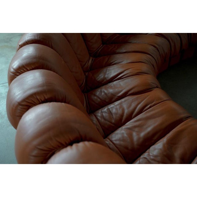 DS-600 Sectional Sofa in Cognac Leather by de Sede, Swiss, 1990s For Sale - Image 16 of 18