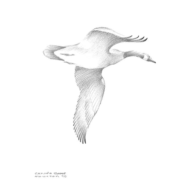 "A Wall-To-Wall of the Leash 1925-1975" Reichner, Morgan s.A. For Sale - Image 9 of 12