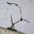 Mid-Century Modern Mid Century Modern Brass and Marble Birds in Flight Sculpture in the Style of C. Jere For Sale - Image 3 of 11