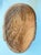 Vintage Hand-Carved Wood Daruma Bodhidharma Wall Mask With Hossu Fly Whisk For Sale - Image 10 of 12