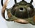 20th Century Glass Pendant Lamp, Austro-Hungary, 1890s For Sale - Image 9 of 18
