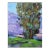 Eucalyptus Tree, Impressionist Oil Painting Landscape For Sale
