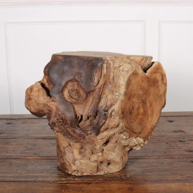 Sculptural Root Side Table For Sale - Image 3 of 5