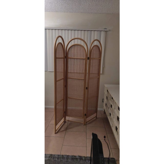 Wood Sculptural Three-Panel Folding Screen Room Divider in Rattan and Wicker, 1960s For Sale - Image 7 of 8