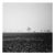 Paul Cooklin, Castle Hill Field, Occold, Suffolk, Edition of 50 For Sale