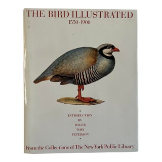 The Bird Illustrated: From the Collection of the New York Public Library, 1988 For Sale