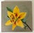 An oil painting monogrammed by the artist of a yellow day lily. A realistic botanical illustration emphasizing the texture...