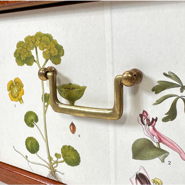 1950's Swedish Cabinet With Nordens Flora Illustrations For Sale - Image 10 of 11