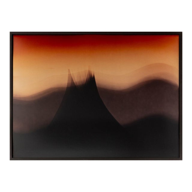Anne Sager "Burma" Landscape Photogram For Sale