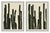 Hable Cactus I and II by Susan Hable For Sale - Image 4 of 4