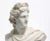 Antique bust of Apollo of Belvedere. Finely carved carrara marble. Mid 19th century. Italian. Presented by Joseph Dasta...